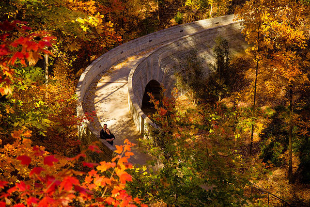 botanical sm cuddling on stone bridge