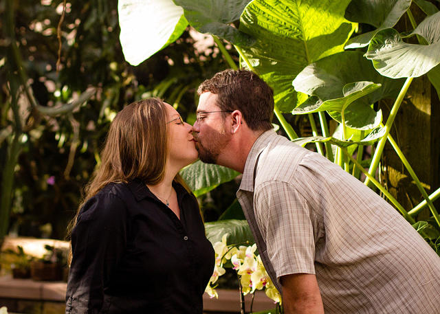 botanical sm orchid elephant ear