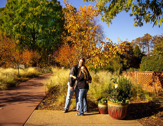 botanical sm pretty tree