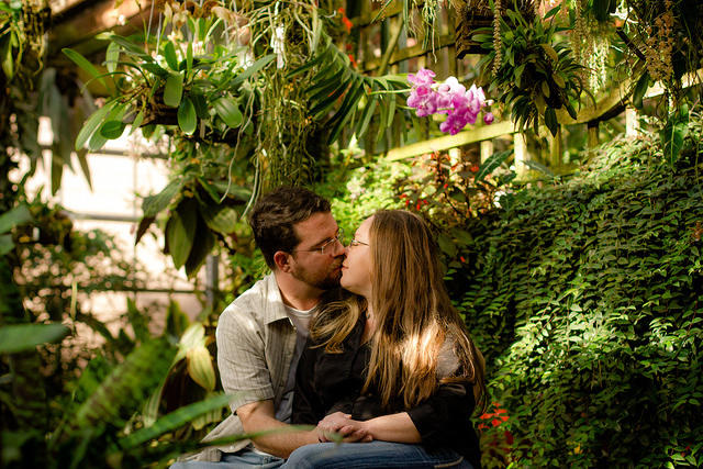 botanical sm purple orchid smooch