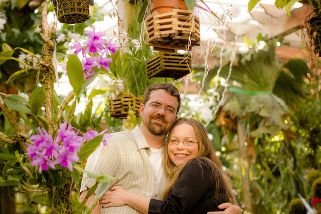 botanical sm purple orchids good pic