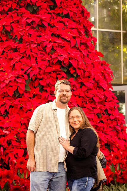 botanical sm red xmas tree