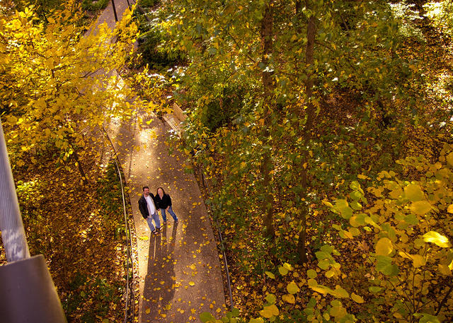 botanical sm up high shadows
