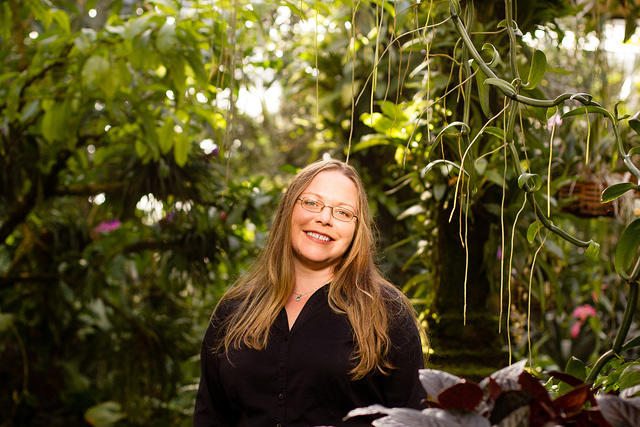 botanical sm yvonne orchid house