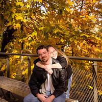 botanical sm bench yellow leaves