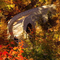 botanical sm cuddling on stone bridge