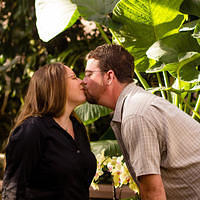 botanical sm orchid elephant ear