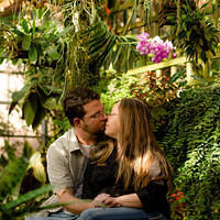 botanical sm purple orchid smooch