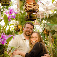 botanical sm purple orchids good pic