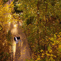 botanical sm up high shadows