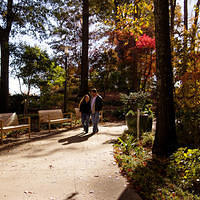 botanical sm walking down path
