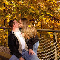 botanical sm yellow leaf smooch