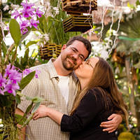 botanical sm yvonne smooch orchids